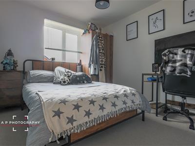 Picture 13